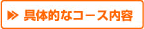 ����Ū�ʥ���������