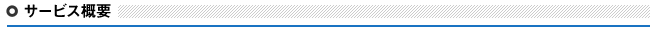 サービス概要